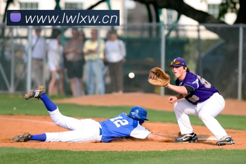 leyu乐鱼网页版在线登录平台生态图