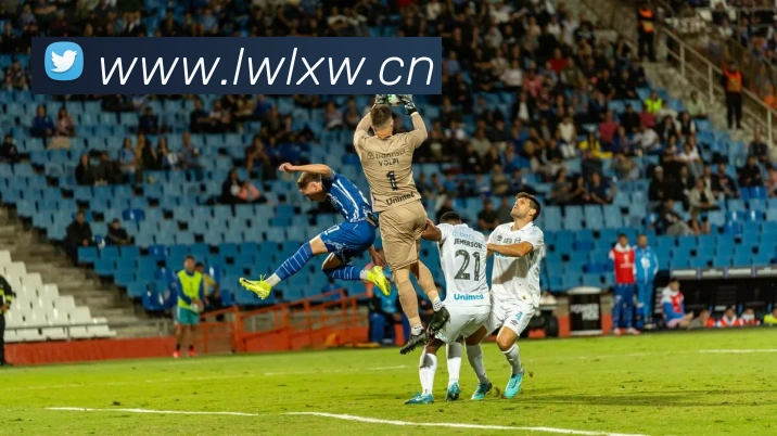 leyu乐鱼网页版在线登录APP 封面图